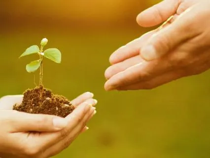 Easing Health Anxiety: A Grounding Practice