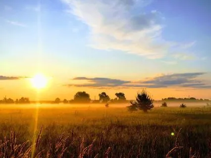 Easing Into Calmness