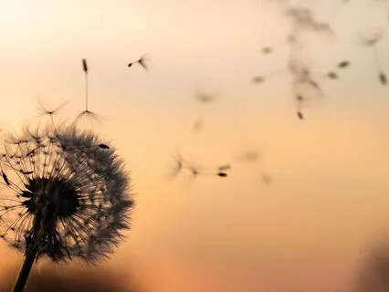 Easing Into Imperfection - A Meditation For Building Safety