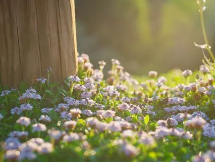 Easing Into The Morning With Calm And Clarity