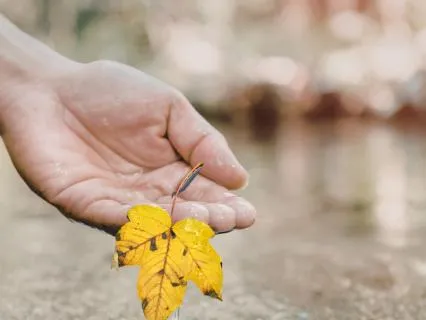 Easing Intrusive Thoughts: A Gentle Allowing Practice