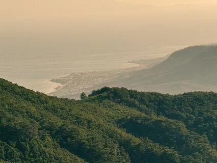 Easing Tension: Feel The Stress Fade