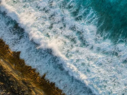 Easing The Scattered Mind Back Into The Body