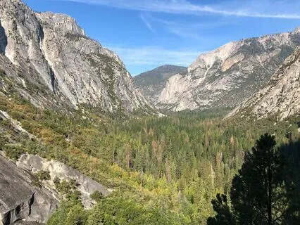 Easing The Struggle - Getting Unstuck From Sticky Thoughts