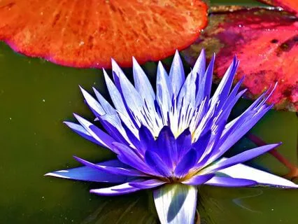 Easing The Weight Of Anxiety