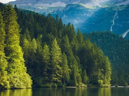 Easing Worries: Music For Instant Calm