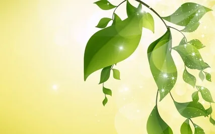 Easing Your Worries with 528 hz