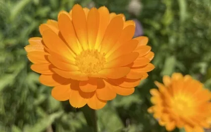 Easter 2023 Meditation And Prayer