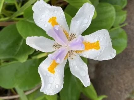 Easter Talk And Meditation