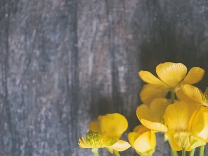 Easy 15 Minute Breath Awareness