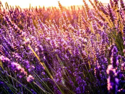 Easy Abundance Blessings