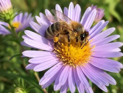 Easy And Aligned Decisions From The Heart Space