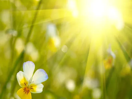 Easy & Natural Meditation