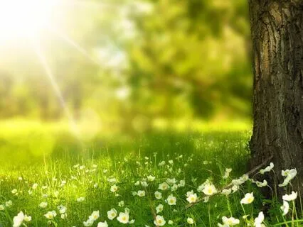 Easy Beginner's Meditation. Learn How To Meditate