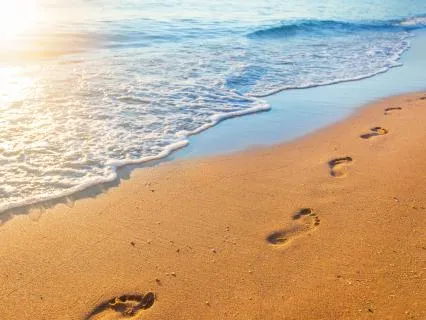 Easy Calming Mindful Walking 14 Min