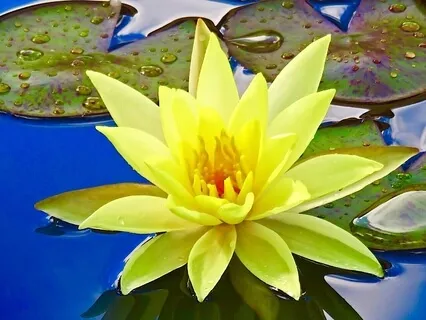 Easy Essence Beginners Meditation Series: Lesson 2