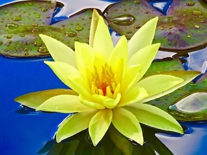 Easy Essence Beginners Meditation Series: Lesson 3