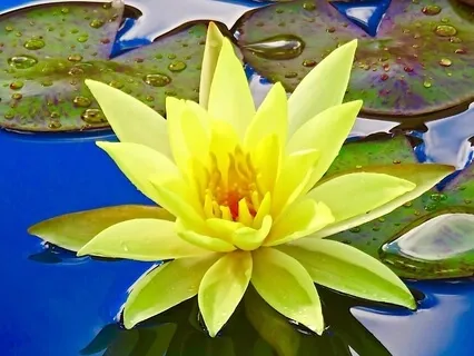 Easy Essence Beginners Meditation Series: Lesson 4