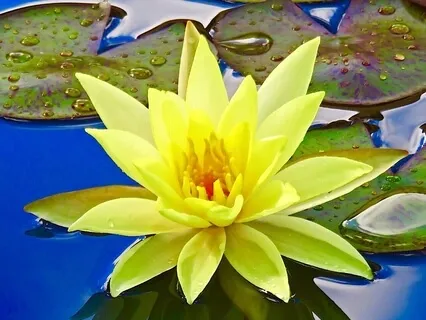 Easy Essence Beginners Meditation Series: Lesson 5