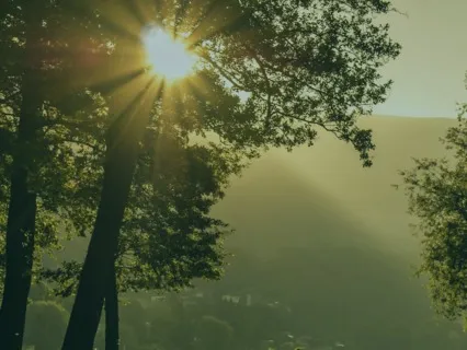 Easy Grounding Meditation