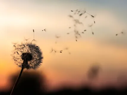 Accept The Present Moment