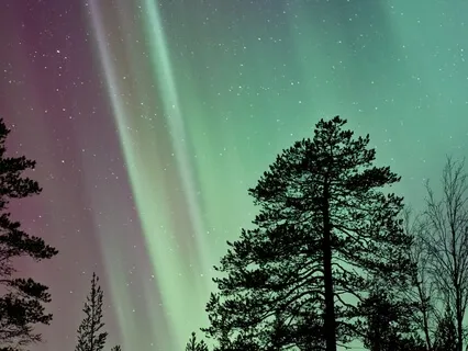 Ease Into Restful Sleep