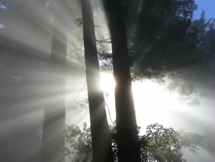 Easy Money Flow - Universal Sphere Experience No Music