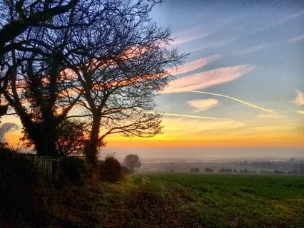 Easy Open Awareness with Birdsong