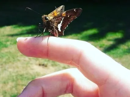 Easy Steps For Emotion Regulation~Percentage Of Change E109