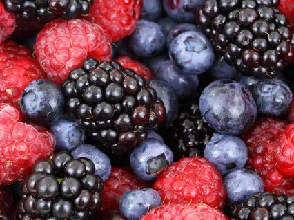 Eat Your Meal Mindfully