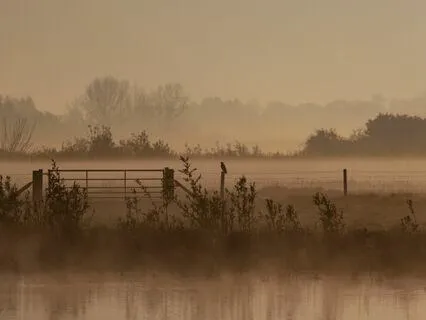 Ebb And Flow Soothing Vibrations (432 Hertz)