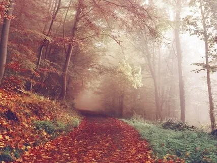 EBBS Meditation - Earth, Breath, Body And Stillness