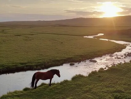 Echo Springs: A Journey To Remote Tranquility