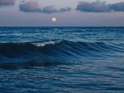 Echoes In Blue Ambient Relaxation