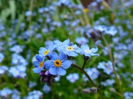 Echoes Of Ancient Knowledge - May 09