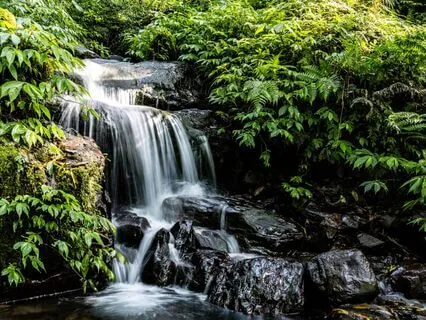 Echoes Of Deep Calm: 1 Hour Of Serenity