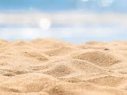 Echoes Of Gratitude: Embracing The Present