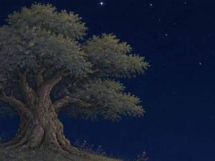 Echoes Of Reality: Cozy Fantasy Bedtime Tale