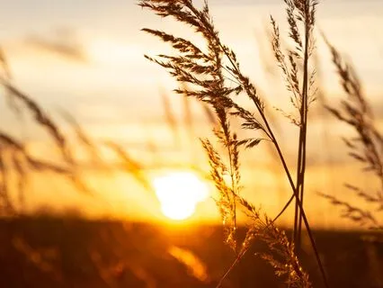 Echoes Of Release - Healing Piano For Emotional Release