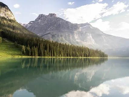 Echoes Of Rumi: Embracing The Beauty Of What You Love