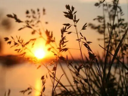 Echoes Of Tenderness – A Gentle Space For Heartfelt Calm