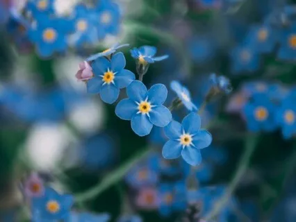 Echoes Of The Journey - May 01