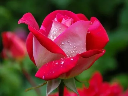 Echoes Of The Past  - June 12