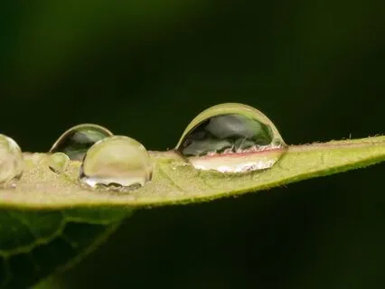 Echoes of the Rain: Piano Whispers for Clarity and Presence