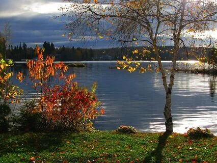 Echoes Of The Shaman (Slight Acceleration)