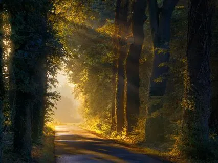 Echoes Of The Shaman