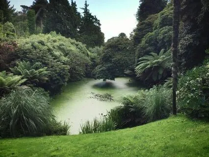 Echoes Of The Wild: Sleep To The Jungle’s Night Symphony