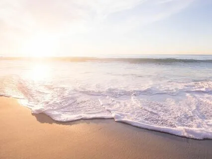 Echoes Of Tranquility: Handpan Serenade In The Stillness