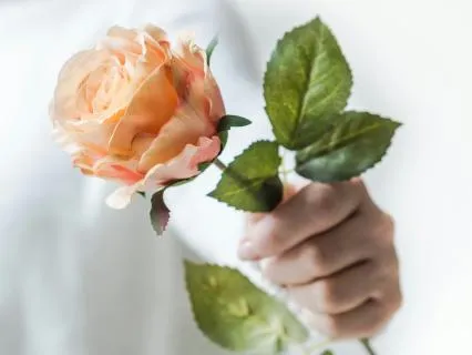 Echoes Of Young Love