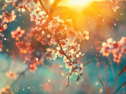 Echoes / Crystal Singing Bowls, Tongue Drum